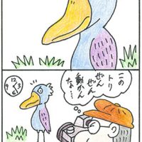 「ハシビロコウ」伊藤　文人 ●絵がきれい。おたがいに思っていることが同じなのがおもしろい。（10歳未満） ●絵がシンプルでかわいい。ハシビロコウから見た人が面白い。（30代）