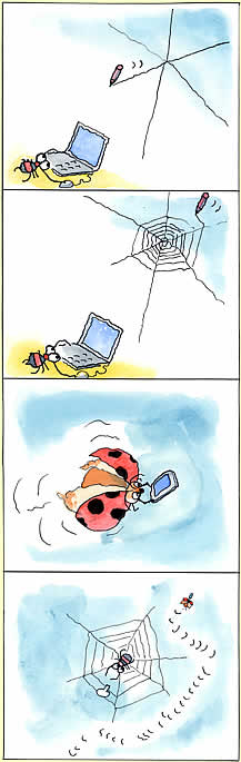 ms