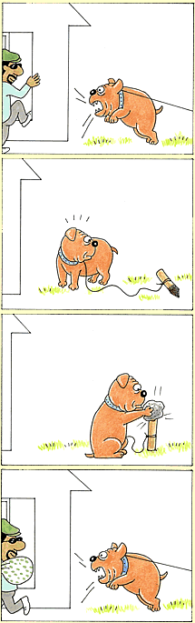 Ȃe