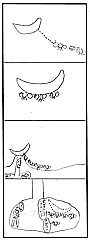 バナナ