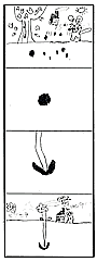 花の中から。